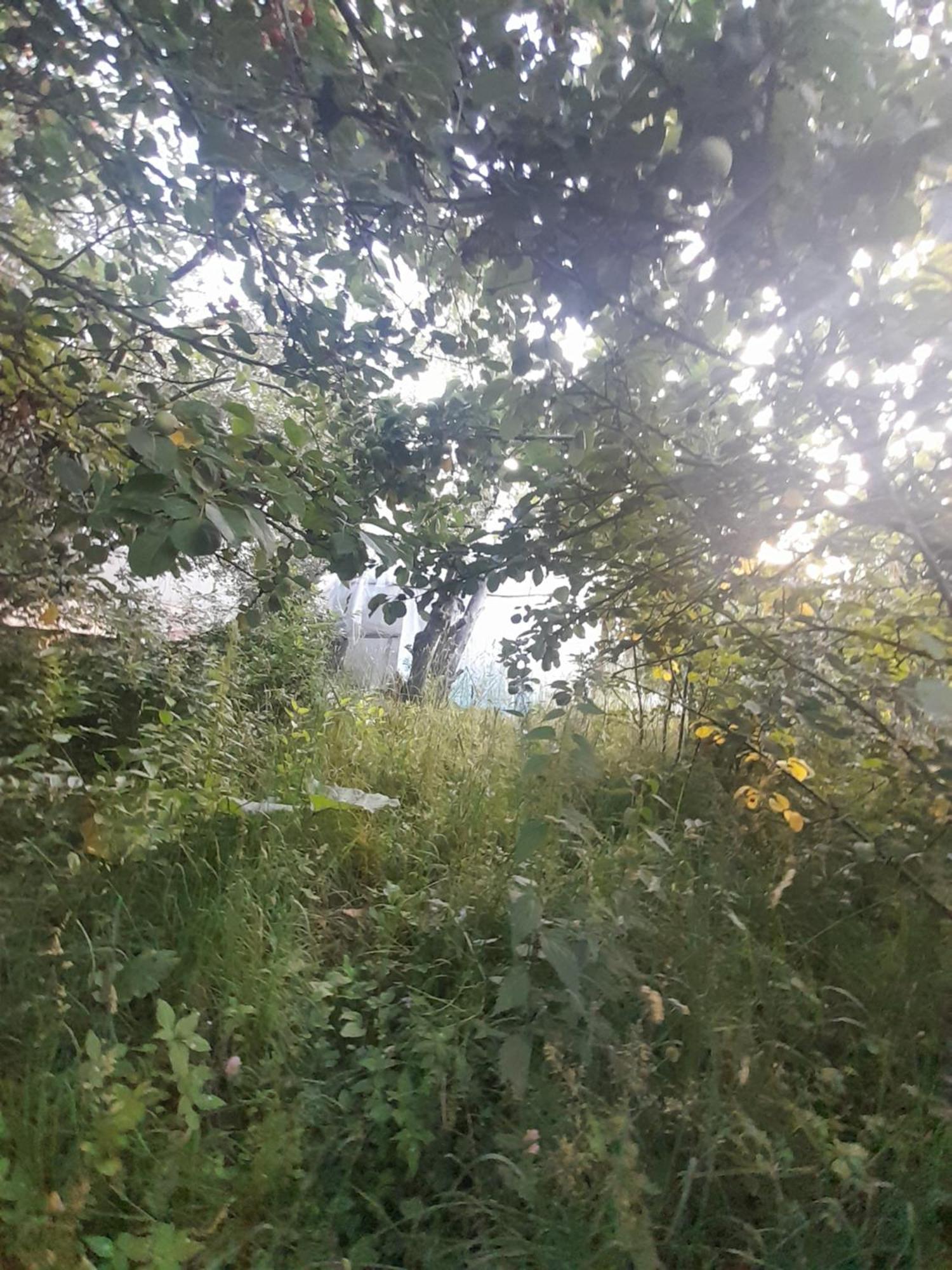 Waterfall In The Yard Karakol Eksteriør bilde